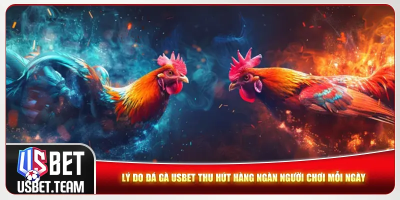 Lý do đá gà Usbet thu hút hàng ngàn người chơi mỗi ngày Lý do đá gà Usbet thu hút hàng ngàn người chơi mỗi ngày